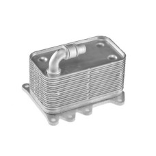 Радиатор масляный BMW 5 E60/E61 2003-2010 (2.0-3.0-4.5) AVA