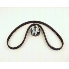 Ремкомплект ГРМ Felicia/Octavia 1.6 AEE